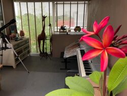 BLANDFORD DRIVE (D19), Terrace #571145721